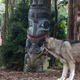 Image for article titled Zookeeper